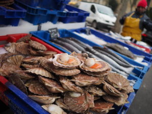 Fresh Local Seafood and Shellfish displayed in Paris Market